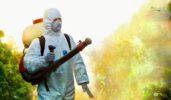 Does Mosquito Control Work