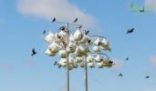 Are Purple Martin Houses The Solution For Mosquito Control