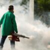Get Rid Of Mosquitoes And Pests? - Tips For Homeowners