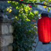 Mosquito trap