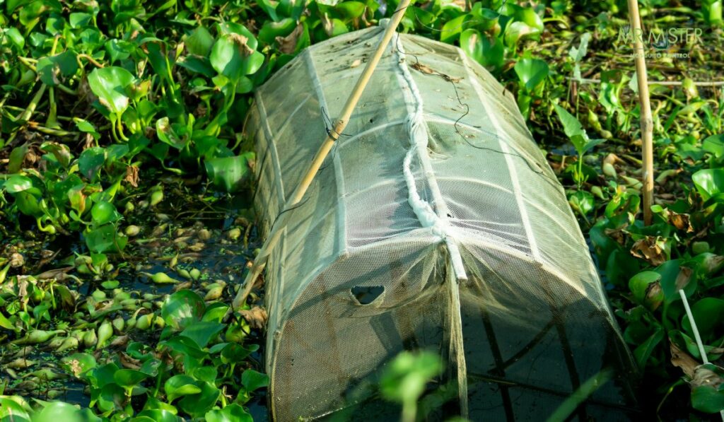 Mosquito trap