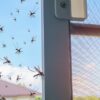 Advantages of Mosquito Yard Treatments