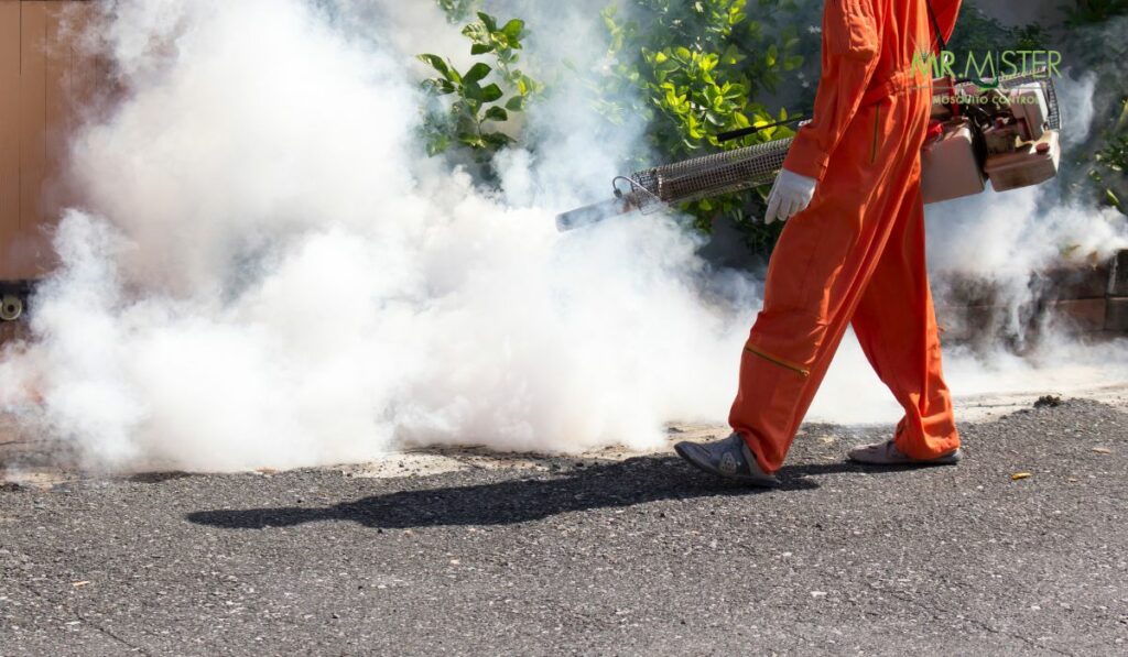 Effective Mosquito Control Methods