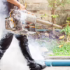 Environmentally Friendly Mosquito Control Companies in Atlanta