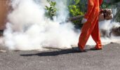 Mosquito Control Companies in Johns Creek