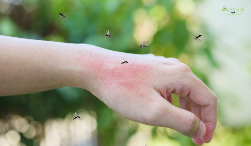 atlanta mosquito misting