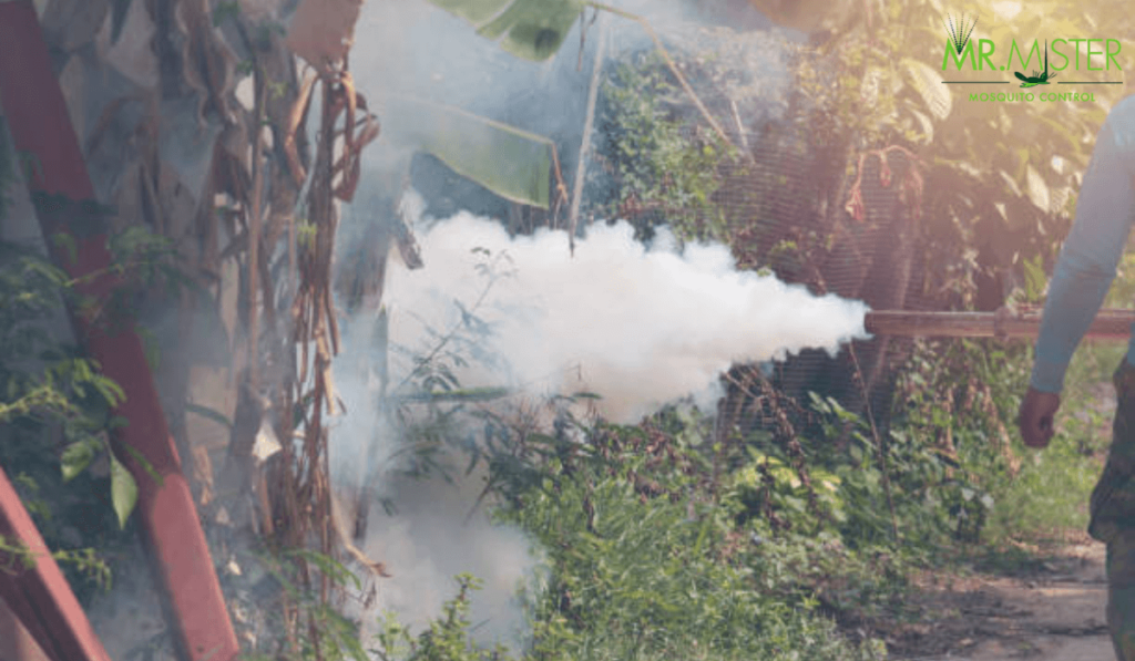 Understanding the Need for Mosquito Control