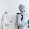 Mosquito Control in Roswell