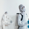 Mosquito Control in Roswell