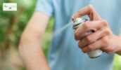 mosquito spray services in Atlanta