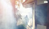 Pest Control Services