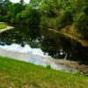 retention pond mosquito control