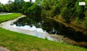retention pond mosquito control