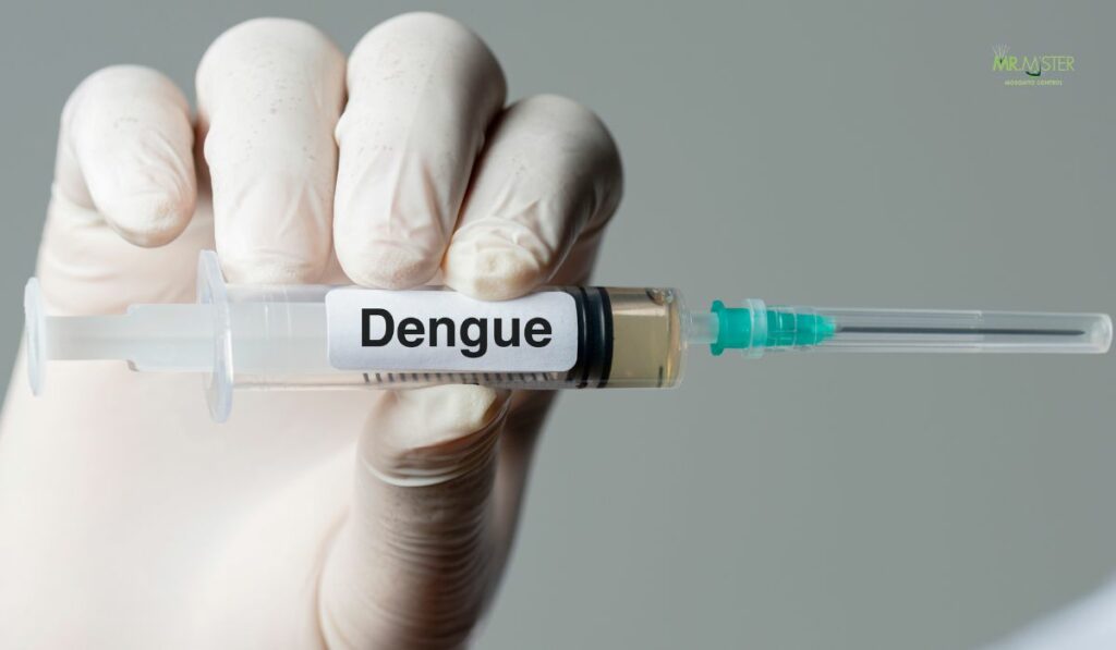 Dengue Outbreak