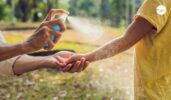 Mosquito Misting System Guide