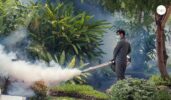 best mosquito control