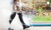 Eco-Friendly Mosquito Control