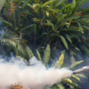 Mosquito Control