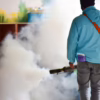 how to control mosquitoes indoors