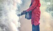 bee friendly mosquito control