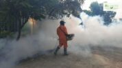 Mosquito Control Services