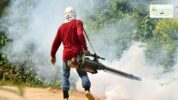 Mosquito Spray Service