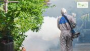 Mosquitoes prevention In Altanta
