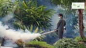 Mosquito Control