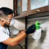 Mr. Mister pest technician spraying mosquito treatment