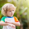 Health Risks Associated with Mosquitoes