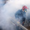 Mosquito-Fogging-Services