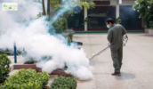 Mr. Mister technician spraying mosquito treatment in plaza