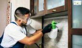 Mosquito Treatment for homes