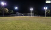 mosquito control on baseball field