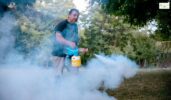 Bee Mosquito Control