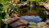 Mosquito Prevention Services for Your Pond