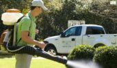 Expert Mosquito Control Atlanta