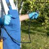 Local Mosquito Control Service