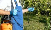 Local Mosquito Control Service
