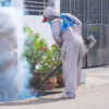 Mosquito Control Atlanta