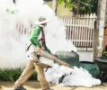 Mosquito Control Works