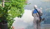 Mosquito Infestation Control