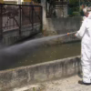 Rainfall Influences Mosquito Populations