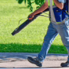 Mosquito Control Experts