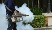 Mosquito Misting