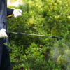Mosquito Misting Systems