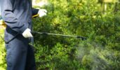 Mosquito Misting Systems
