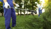 Pest Control Misting Systems