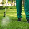 Pest Control Reduce Mosquito Populations
