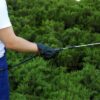 ClearZone™ Mosquito Yard Treatment